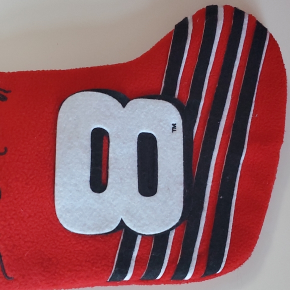 Dale Earnhardt Jr.  #8 Christmas Stocking. - Picture 3 of 5